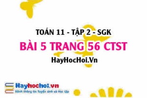 Bài 5 trang 56 Toán 11 tập 2 Chân trời sáng tạo